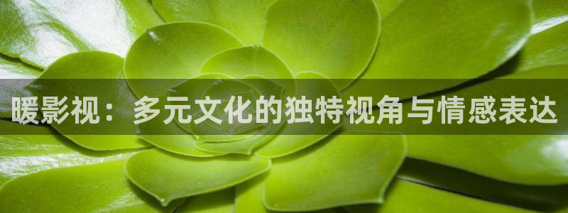 天堂影片网.m3u8：暖影视：多元文化的独特视角与情感表达