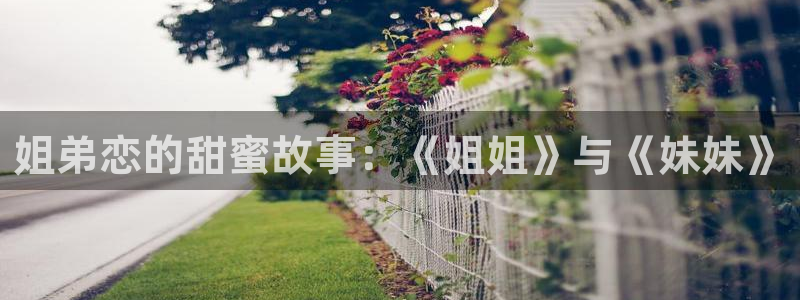 dygod电影天堂在线：姐弟恋的甜蜜故事：《姐姐》与《妹妹》