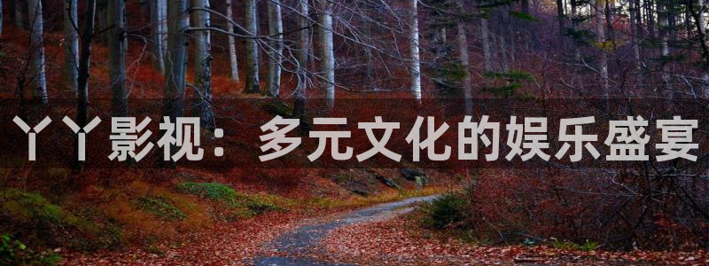 天堂日韩福利电影：丫丫影视：多元文化的娱乐盛宴
