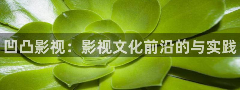看电影天堂日落：凹凸影视：影视文化前沿的与实践