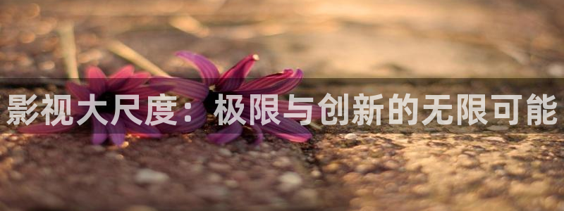 天堂电影解说