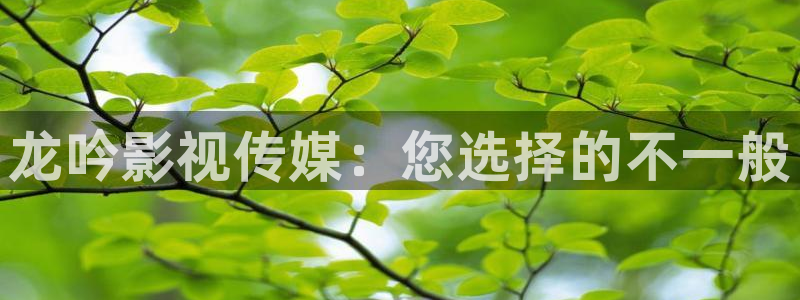 天堂理论电影