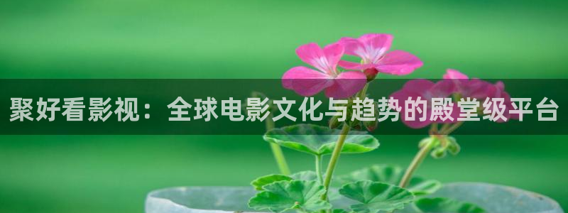 韩国理论片ok电影天堂717：聚好看影视：全球电影文化与趋势的殿堂级平台