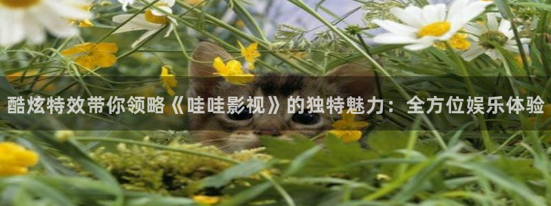 大地雄心 电影天堂