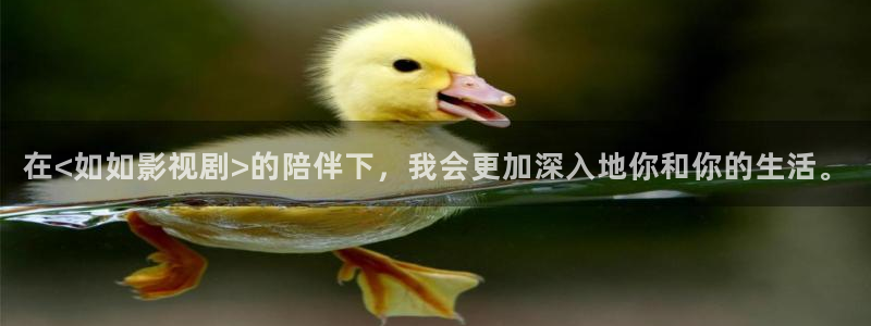 男人天堂视频在线看
