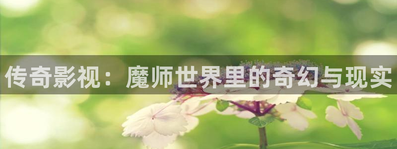 电影天堂免费电影在线：传奇影视：魔师世界里的奇幻与现实