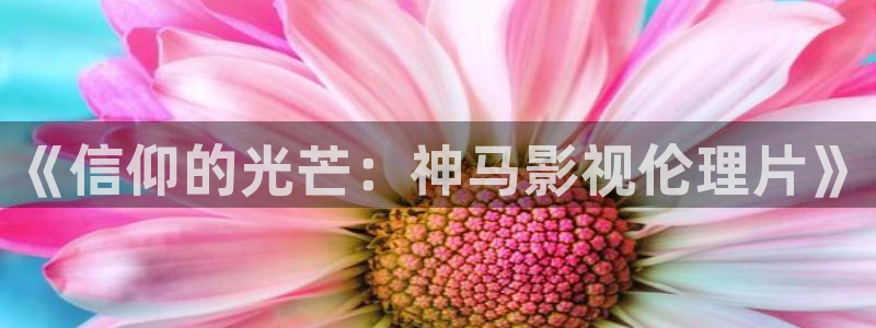 天堂影视下载