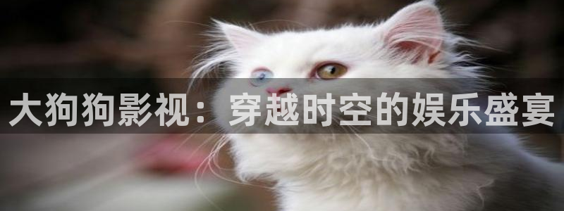 0k电影天堂ok