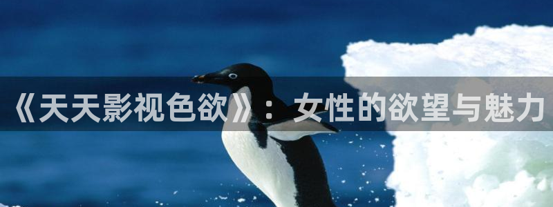 欧美电影 电影天堂